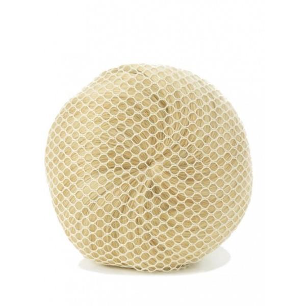 bunheads_hair_blond_net.jpg